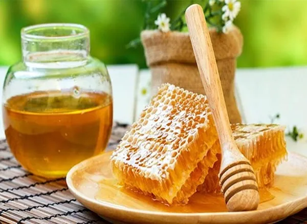 راهنمای خرید عسل گشنیز + قیمت عالی