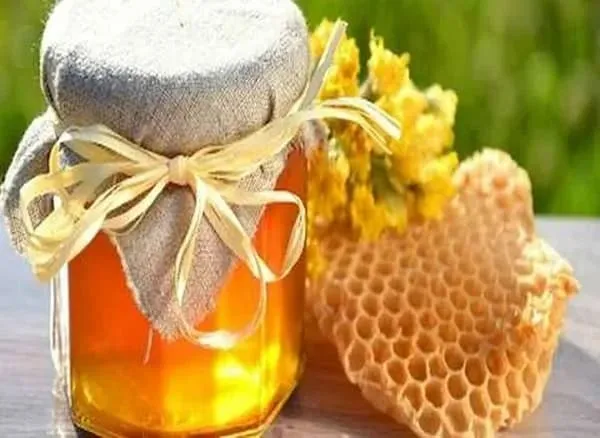 قیمت و خرید عسل کنار حاج ابراهیم + فروش ارزان