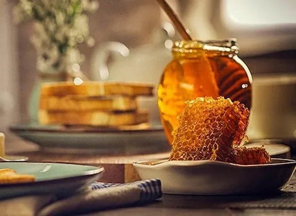 راهنمای خرید عسل گشنیز + قیمت عالی