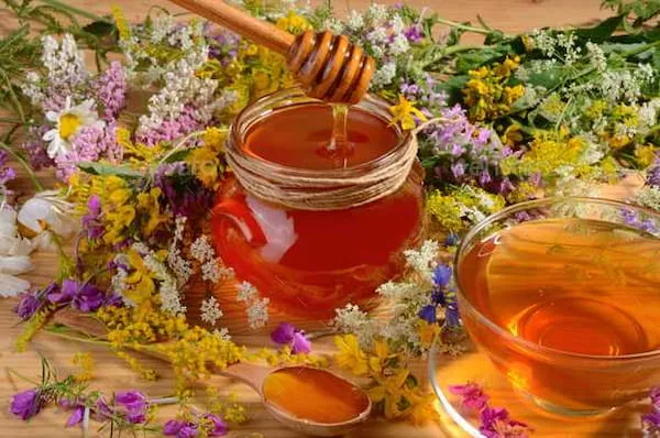 خرید جدیدترین انواع عسل گون زرد